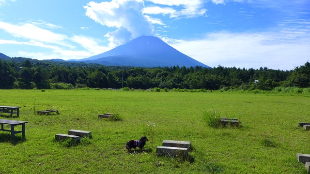 c0134862_23484829.jpg