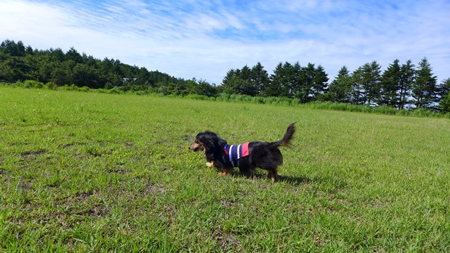 c0134862_2349568.jpg