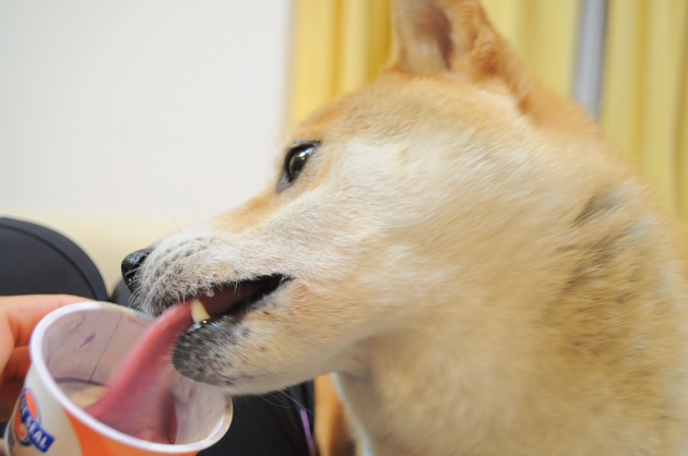 つーちゃんの好物_a0126590_05364707.jpg