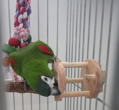 f0234590_939324.png