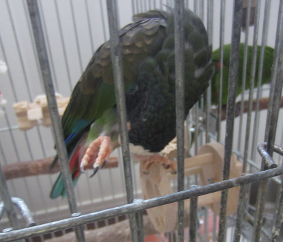 f0234590_9395011.png