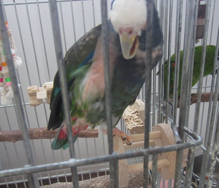 f0234590_9395724.png