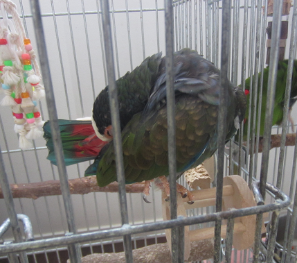 f0234590_940359.png