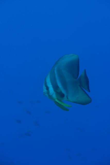 e0064291_21452080.jpg