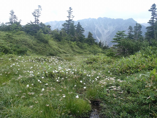 日本最奥地の秘湯 高天ヶ原温泉へ再び!(day2)_c0147398_1874236.jpg