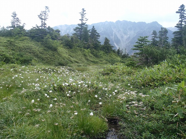 日本最奥地の秘湯　高天ヶ原温泉へ再び！（day2）_c0147398_1874236.jpg