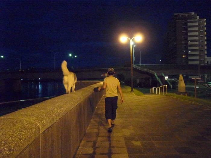 c0049299_17474973.jpg