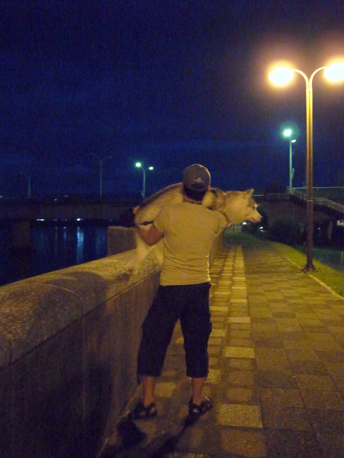 c0049299_17475332.jpg