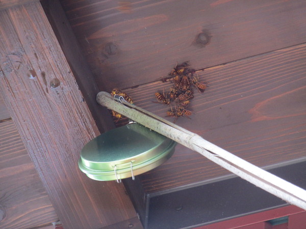 f0341616_65581.jpg