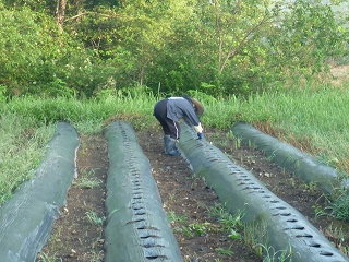 c0189218_7322592.jpg