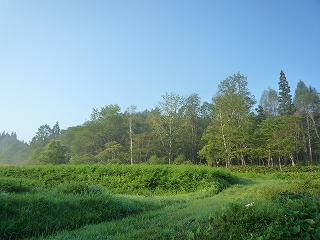 c0189218_7334961.jpg
