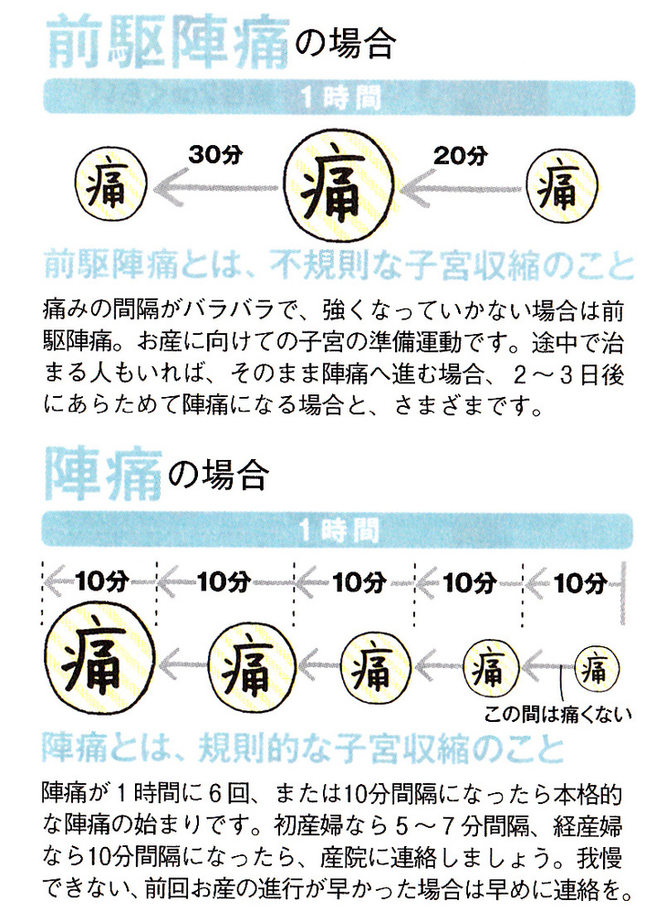 38w0d 変化なし みんなでお散歩 38w0d 変化なし みんなでお散歩