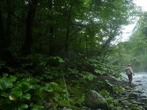 d0227723_21433314.jpg