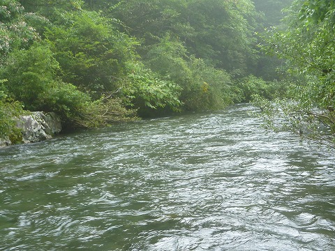 d0227723_21434972.jpg