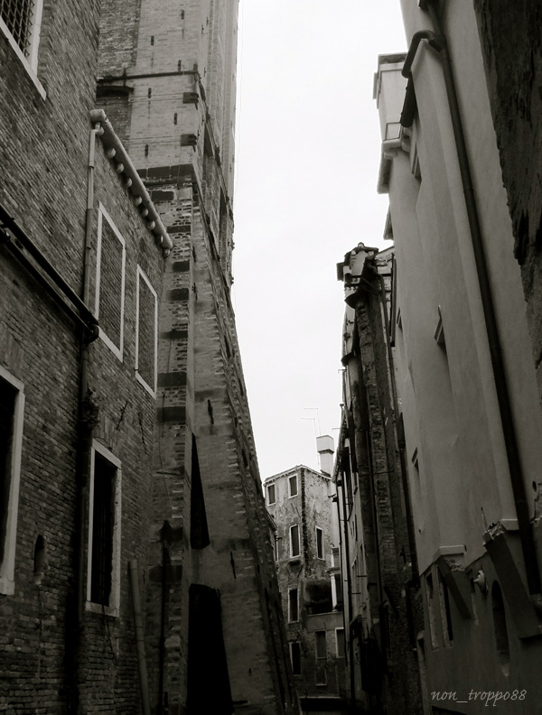 d0086329_2028660.jpg
