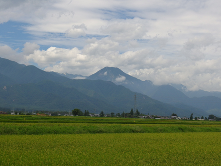 a0014840_632164.jpg