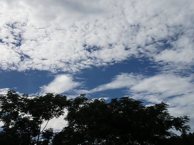 e0145441_6224830.jpg