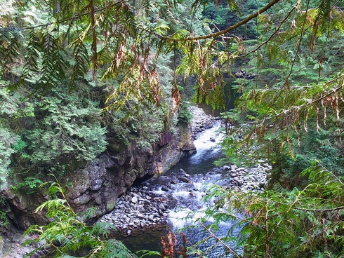 Capilano River Park をお散歩_d0233349_1553950.jpg