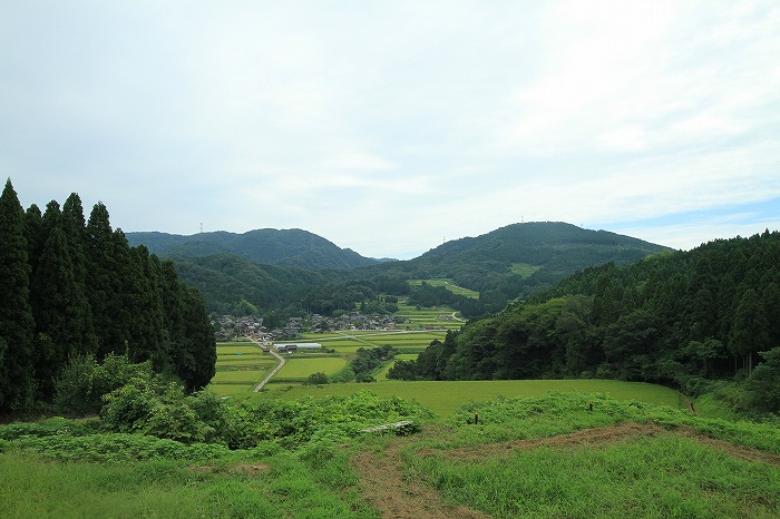 田園風景_c0155950_9164026.jpg