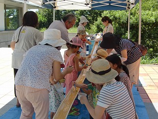 f0052059_1465914.jpg