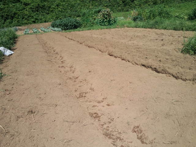 c0117062_15105018.jpg