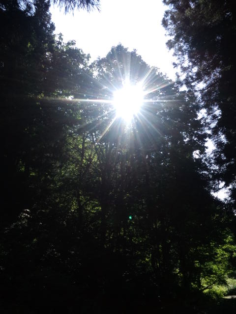 c0117062_15124555.jpg
