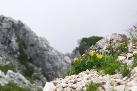 e0045768_22112692.jpg