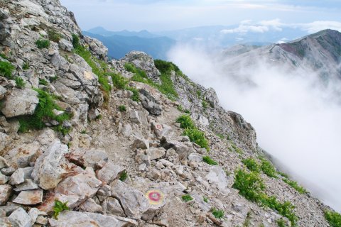 e0045768_2265693.jpg