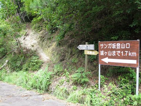 夏焼城ヶ山とオオキツネノカミソリの大栗山_f0302771_21485412.jpg