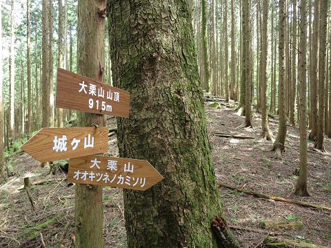 夏焼城ヶ山とオオキツネノカミソリの大栗山_f0302771_21494162.jpg