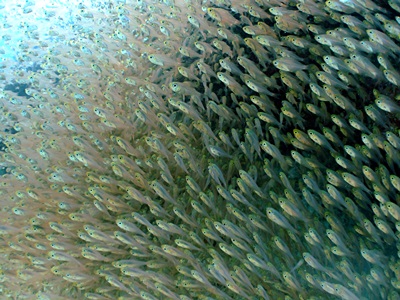 b0033573_17190738.jpg