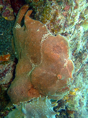 b0033573_17193637.jpg
