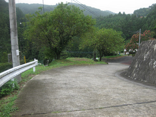 b0144082_23435.jpg