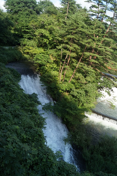 d0129083_22065640.jpg