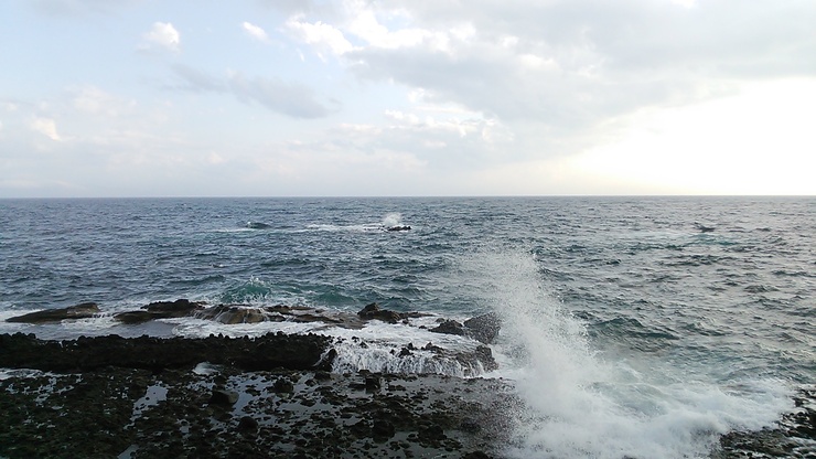 a0242984_131715.jpg