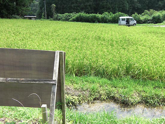 8月22日の田んぼ(月光原小・西根小)_d0247484_16402562.jpg