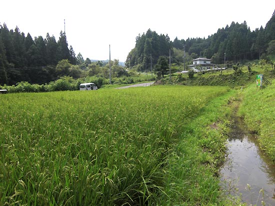 8月22日の田んぼ(月光原小・西根小)_d0247484_19563417.jpg