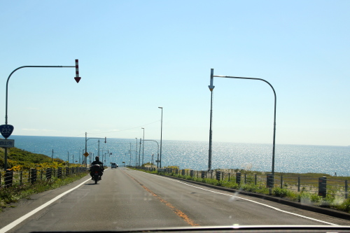 夏休みの旅行　最終回　〜礼文島でまさかのサイクリング_b0142688_12300110.jpg