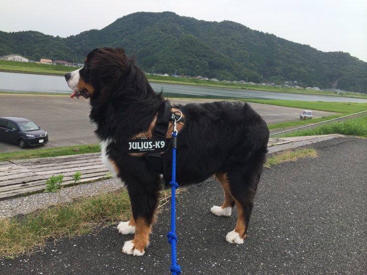 成長♪ ~7月~ Last update 194日/259日_b0135889_02390417.jpg