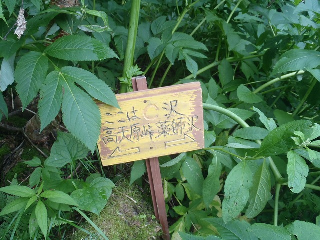 日本最奥地の秘湯 高天ヶ原温泉へ再び!(day3)_c0147398_1454125.jpg