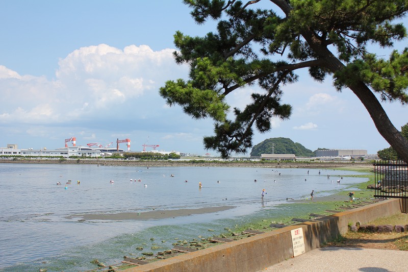 小学二年生の夏休み日記 8 【野島海岸で磯遊び編】_c0204298_17225422.jpg