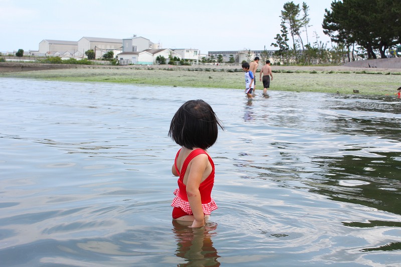 小学二年生の夏休み日記 8 【野島海岸で磯遊び編】_c0204298_17271524.jpg