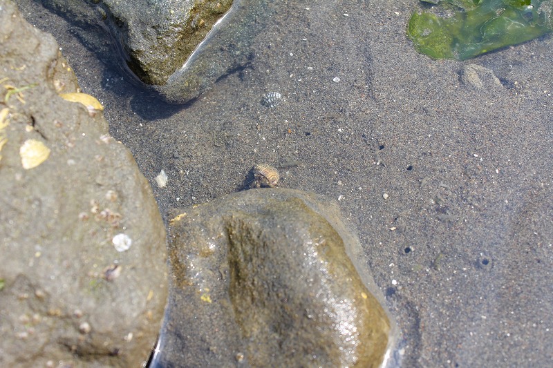 c0204298_17313836.jpg