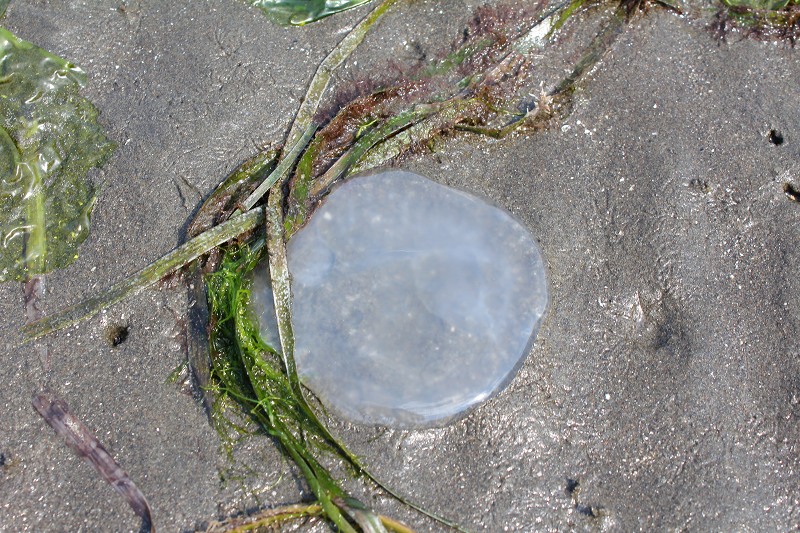 c0204298_17354013.jpg