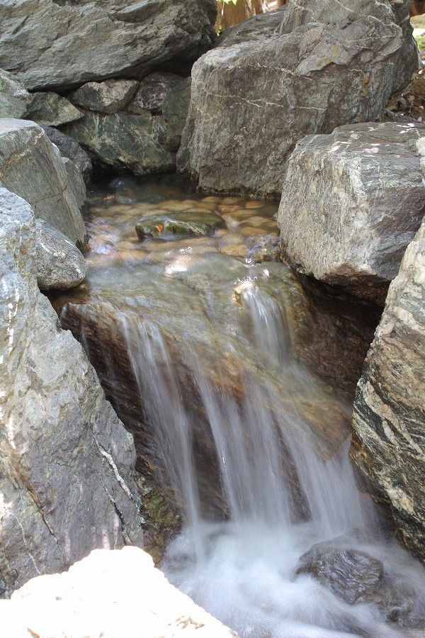 c0204298_18184037.jpg