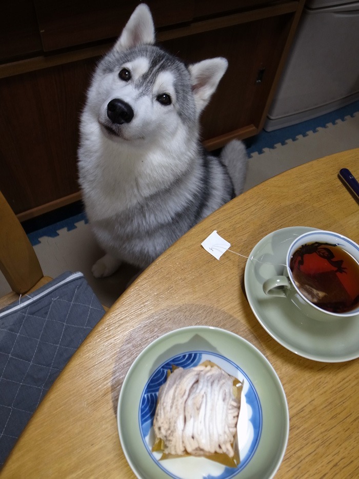 そらそらw (^o^)_c0049299_22282129.jpg