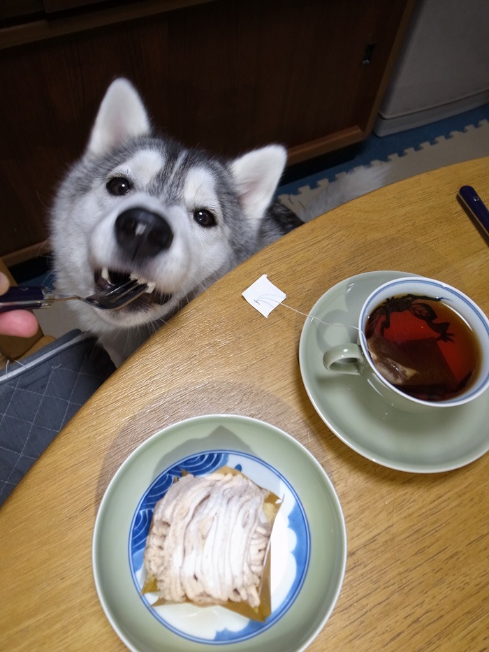 そらそらw (^o^)_c0049299_22282776.jpg