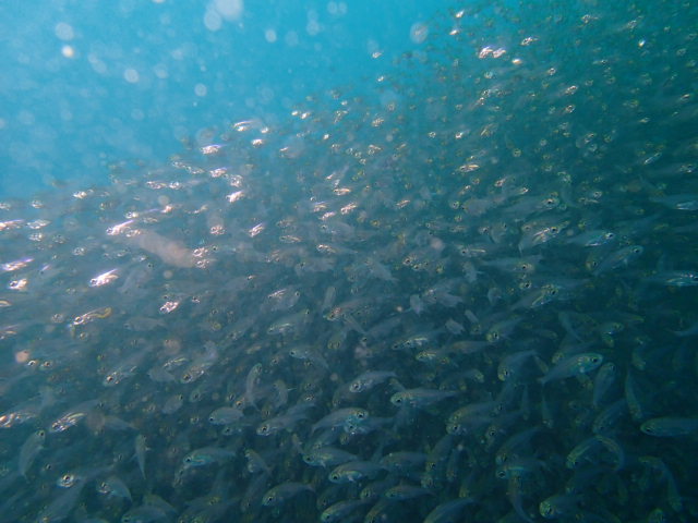 e0115199_18323361.jpg