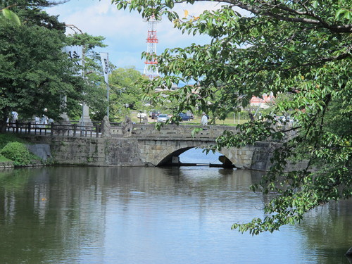 松が岬公園お堀に咲く、蓮の花を観賞　２０１４年８月２３日（９）完_c0075701_15241090.jpg