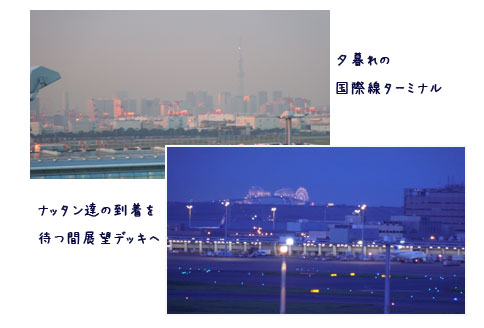 c0051105_124473.jpg